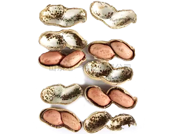 濰花25號花生種如何提高收成